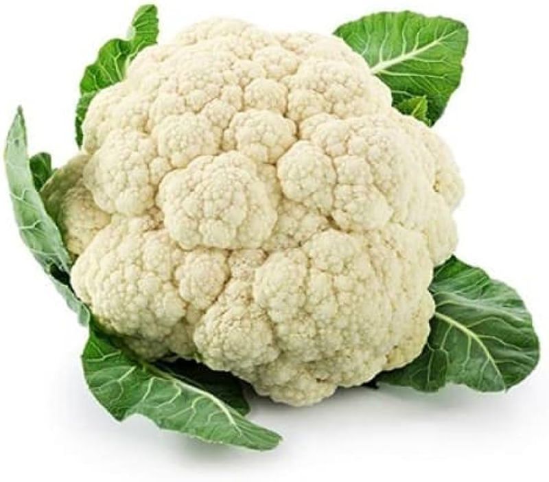 White Round Common Cauliflower, for Human Consumption, Cooking, Packaging Type : Jute Bag