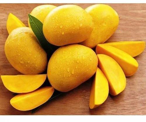 fresh alphonso mango