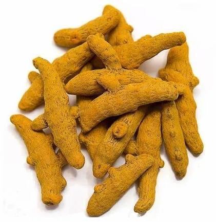 Unpolished Organic Whole Dry Turmeric Finger, for Cooking, Certification : FSSAI Certified