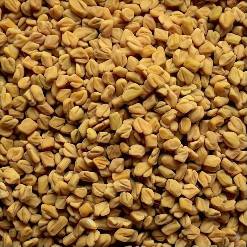 yellow fenugreek seeds