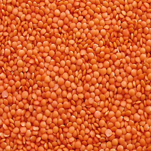 Natural masoor dal, for Cooking, Feature : Nutritious