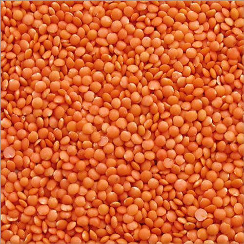Split Red Lentils, Feature : Healthy To Eat, Highly Hygienic