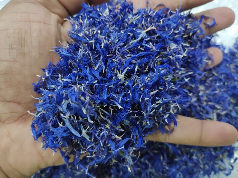 Organic Blue Cornflower, Color : Light Brown