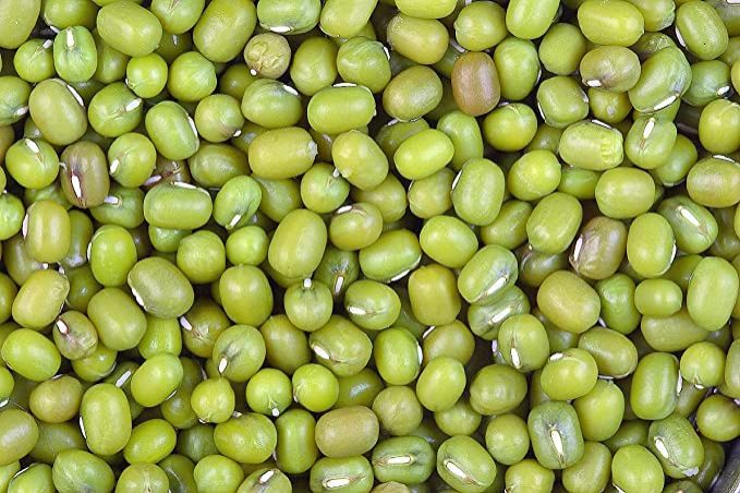 Organic Green Gram Seeds, Specialities : Good Quality