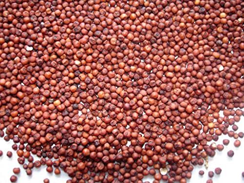 Organic Ragi Seeds, Packaging Type : Gunny Bag, Plastic Bag