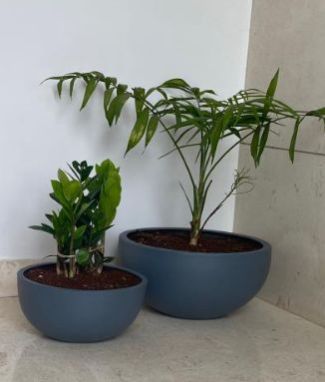 600 Gm Plain Polished Bonsai Small FRP Planters, Portable Style : Standing