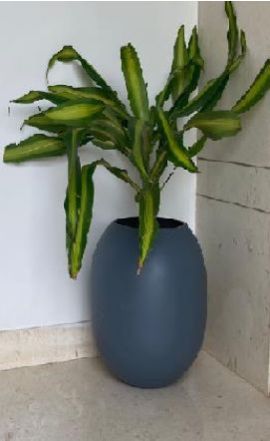 Polished Plain IVY FRP planters, Portable Style : Standing