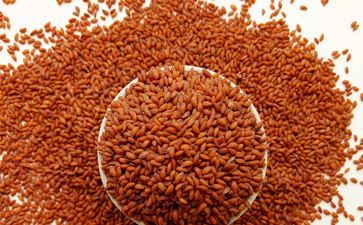 Raw Organic Cress Seeds, Certification : FDA Certified
