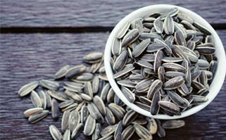 Organic Grey Sunflower Seeds, for Agriculture, Style : Dried