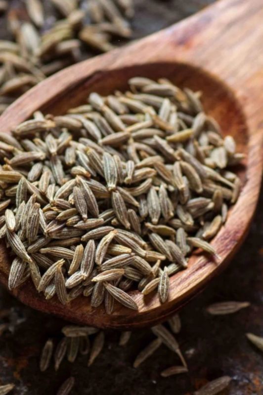 Raw Natural cumin seeds, for Cosmetics, Food Medicine, Spices, Cooking, Certification : FSSAI Certified