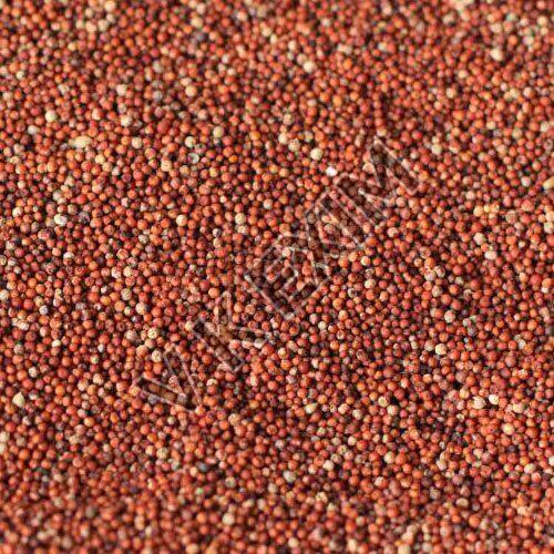 Red Organic Finger Millet Seeds, for Cooking, Cattle Feed, Style : Dried