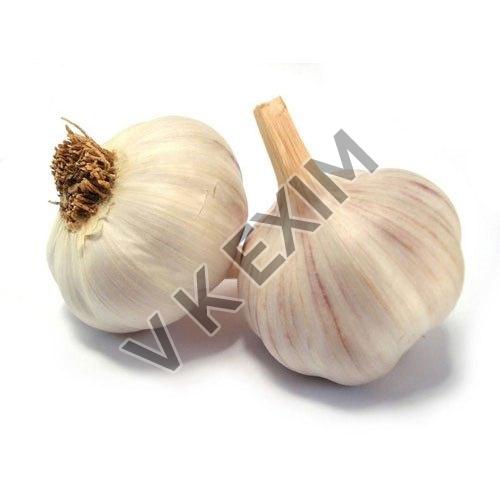 Organic Fresh Garlic, for Cooking, Style : Solid