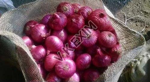 Organic Fresh Red Onion, for Cooking