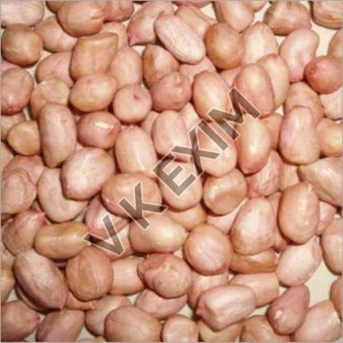 Organic Groundnut Seeds, for Agriculture, Cooking, Food, Purity : 99.9%