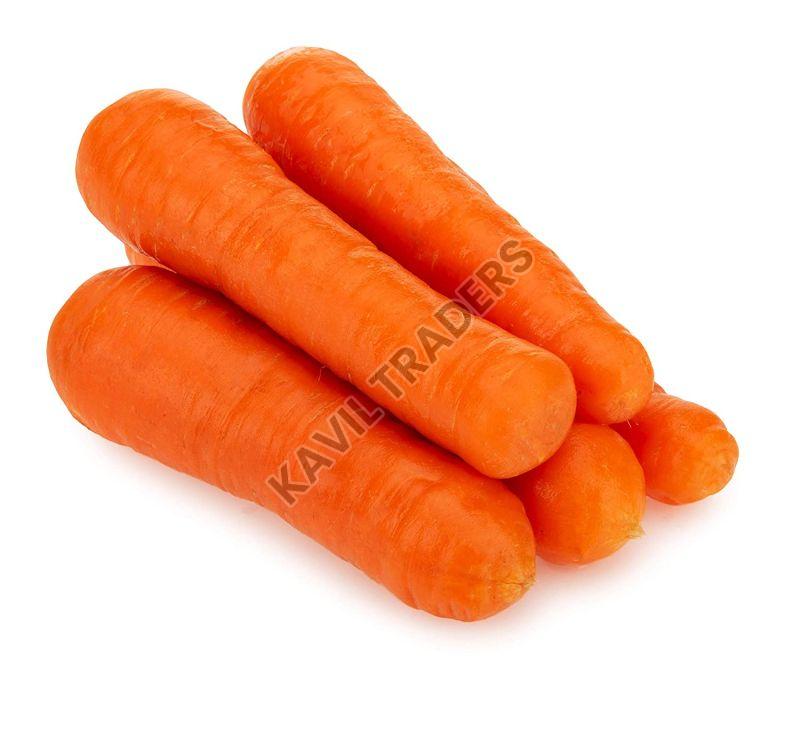 Organic Fresh Carrot, Taste : Sweet