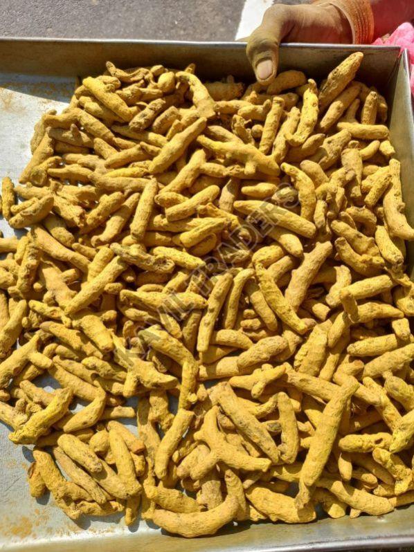 Finger Turmeric For Cosmetics Food Medicine Spices At Rs