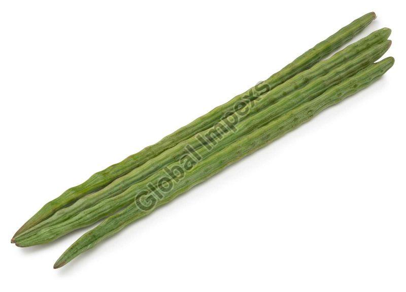 Natural Fresh Drum Stick, for Cooking, Color : Green
