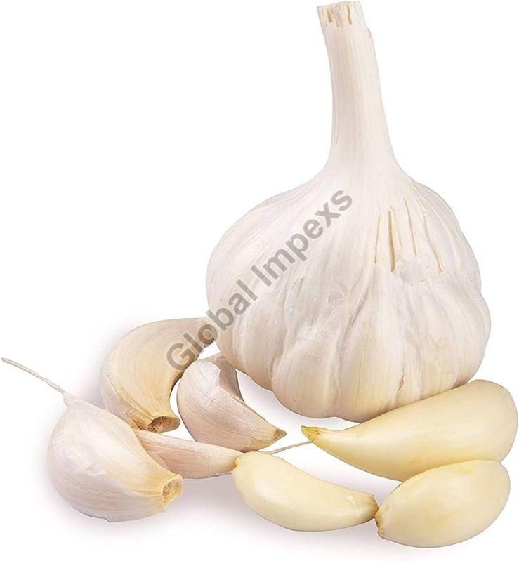 White Round Common Fresh Garlic, for Snacks, Fast Food, Cooking, Style : Solid