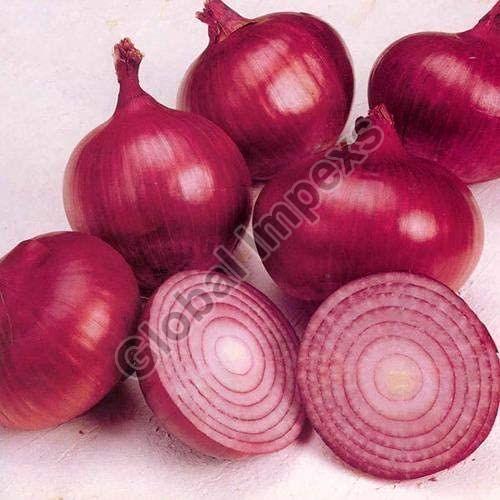 Natural Red Onion, for Cooking, Onion Size Available : Medium