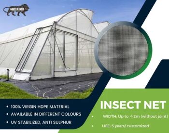 HDPE Anti Insect Net, Color : White