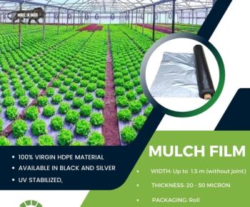 HDPE Black Mulching Film, Length : 100 Meter