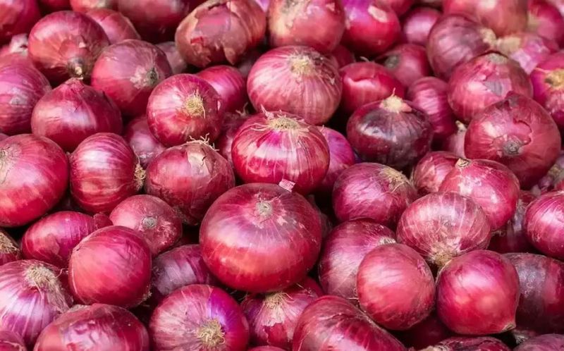 Natural Fresh Onion, for Cooking, Packaging Size : 50 Kg