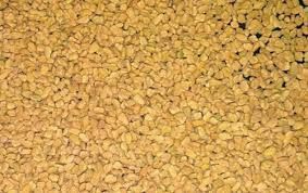 Fenugreek Seeds, For Cooking, Color : Yellow