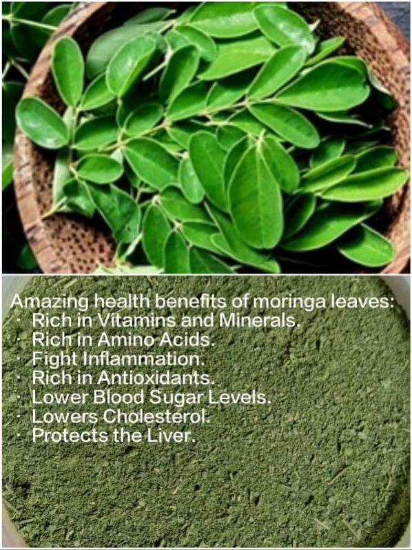 Roy'S moringa leaves powder, Size : 1kg