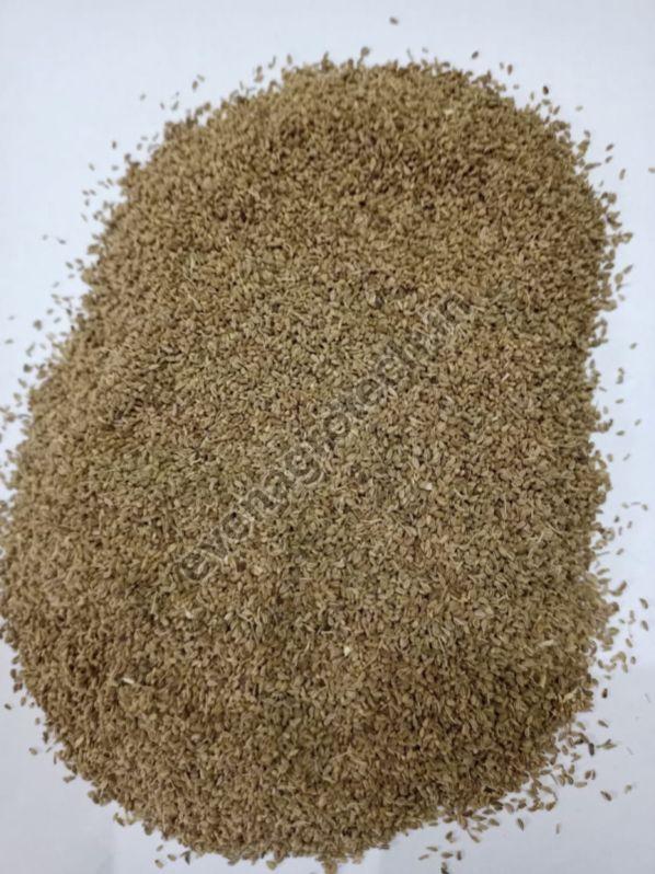 Common Raw Ajwain Seeds, for Spices, Cooking, Grade Standard : Food Grade
