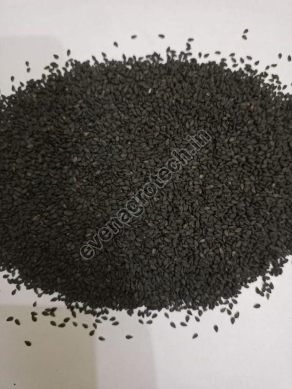 Black Sesame Seeds, Packaging Type : 12 Months