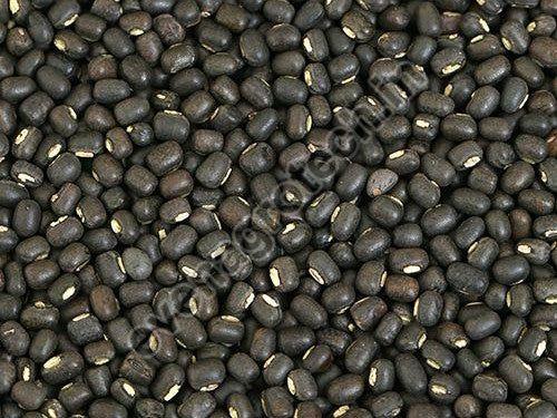 whole black urad dal