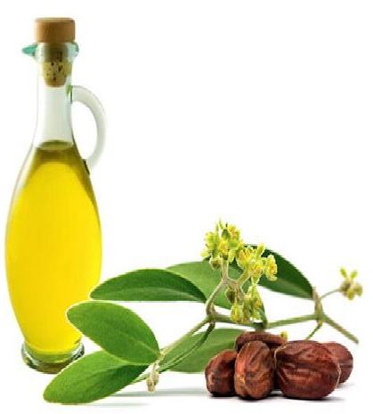 Liquid Jojoba Oil, for Herbal Products, Feature : Provides Natural Sunscreen, Reduces Wrinkles