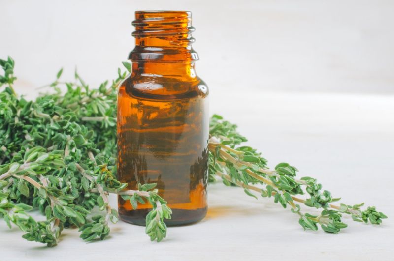Liquid Common Thyme Oil, for Medicines, Purity : 99%