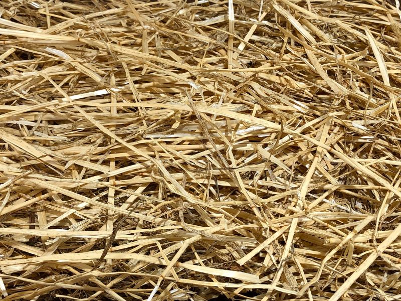 Organic wheat straw, Packaging Type : Bales