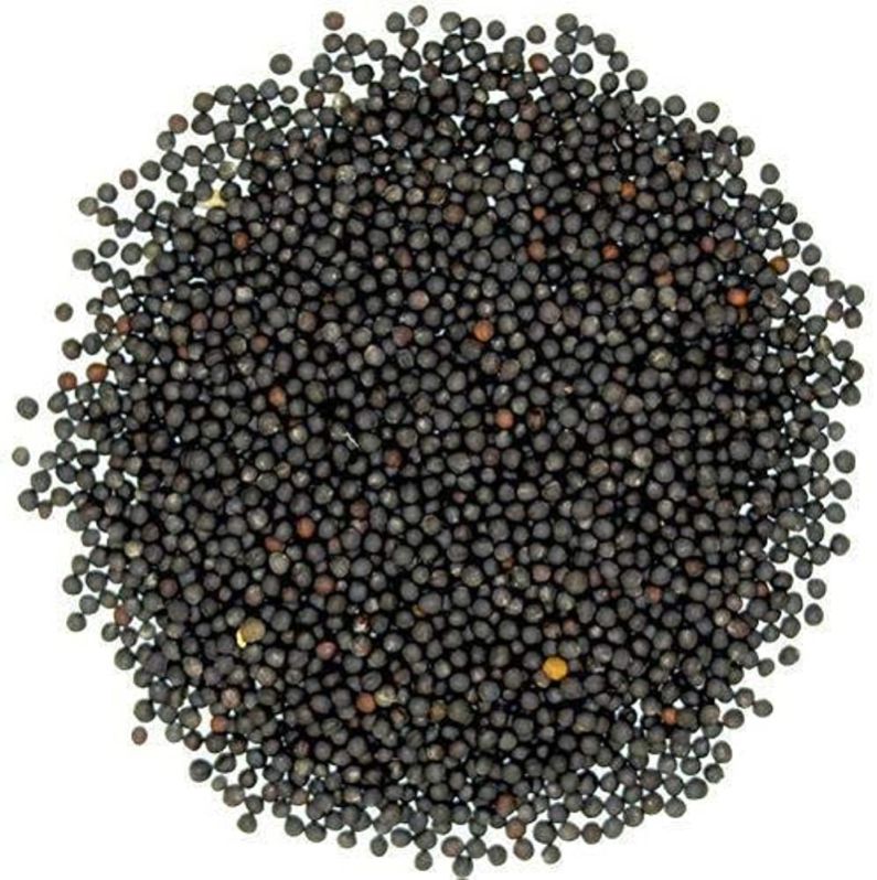 Organic black mustard seeds, Packaging Type : Plastic Packet