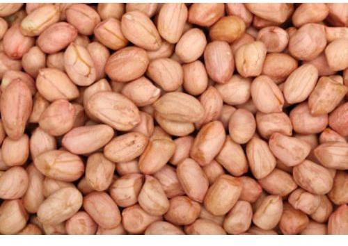 Pro Nature 100% Organic Raw Peanuts, for Direct Consumption, Home, Industrial, Restaurant, Certification : FSSAI Certified