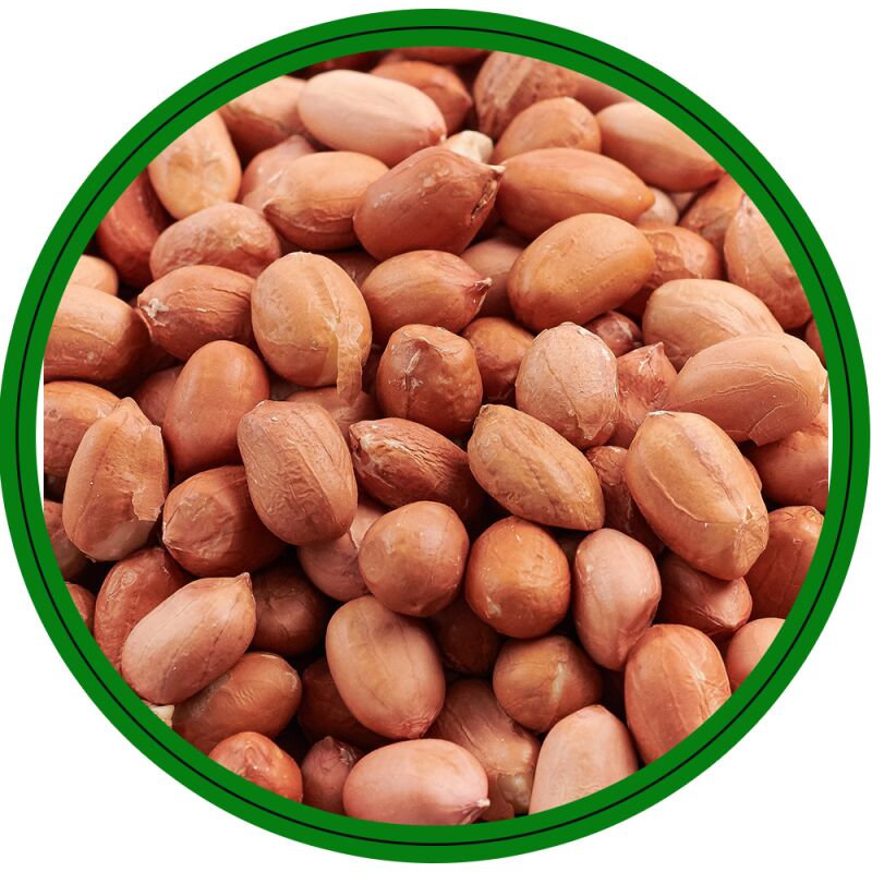 Natural Raw G20 Bold Groundnut, for Butter, Cooking Use, Making Oil, Grade : High-Quality grade