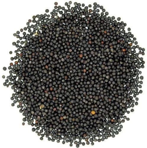 Common Black Mustard Seeds, for Spices, Cooking, Specialities : Good Quality, Hygenic