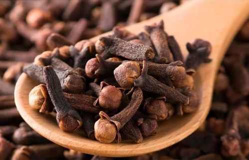 Clove Seeds, for Cooking, Spices, Grade Standard : Food Grade