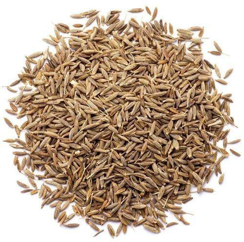 Common Cumin Seeds, For Spices, Cooking, Form : Solid