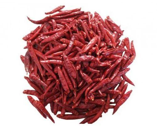 Without Stem Common dry red chilli, Variety : Longi Mirch