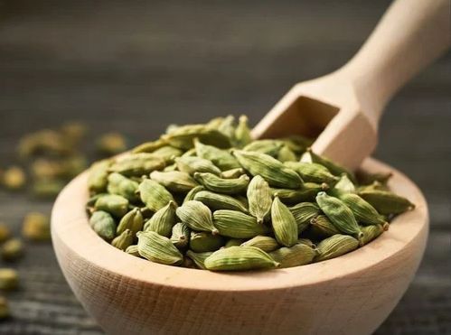Common Green Cardamom, for Spices, Cooking, Grade Standard : Food Grade