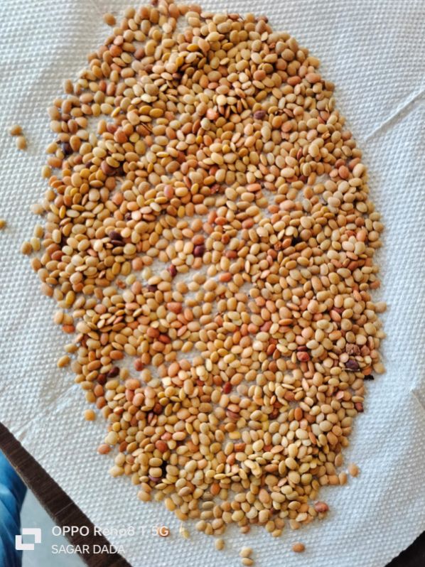 Organic Horse Gram, for Cooking, Spices, Food Medicine, Cosmetics, Certification : FSSAI Certified