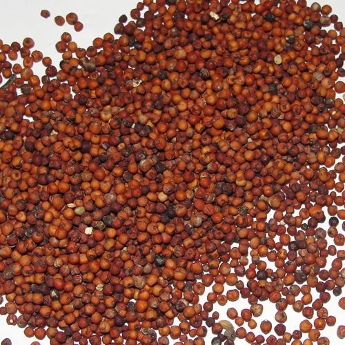 Red Natural Ragi Seeds, for Cooking, Cattle Feed, Style : Dried