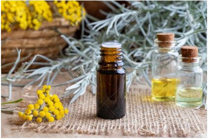 Helichrysum Essential Oil, For Pain Relief, Massage