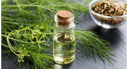 PURE FENNEL ESSENTIAL OIL