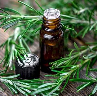 Rosemary Essential Oil