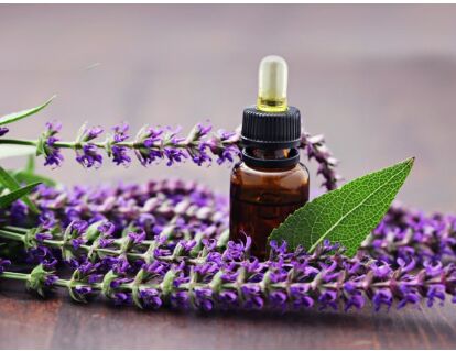 SAGE OIL, Purity : 100% Pure Natural