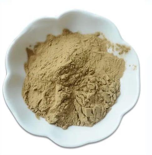 Powder Bacterial Xylanase Food Enzyme, for Bakery, Feature : Hygienically Packed