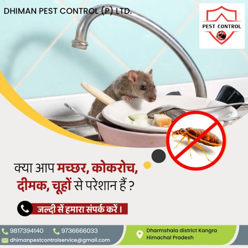 Rat Control Service